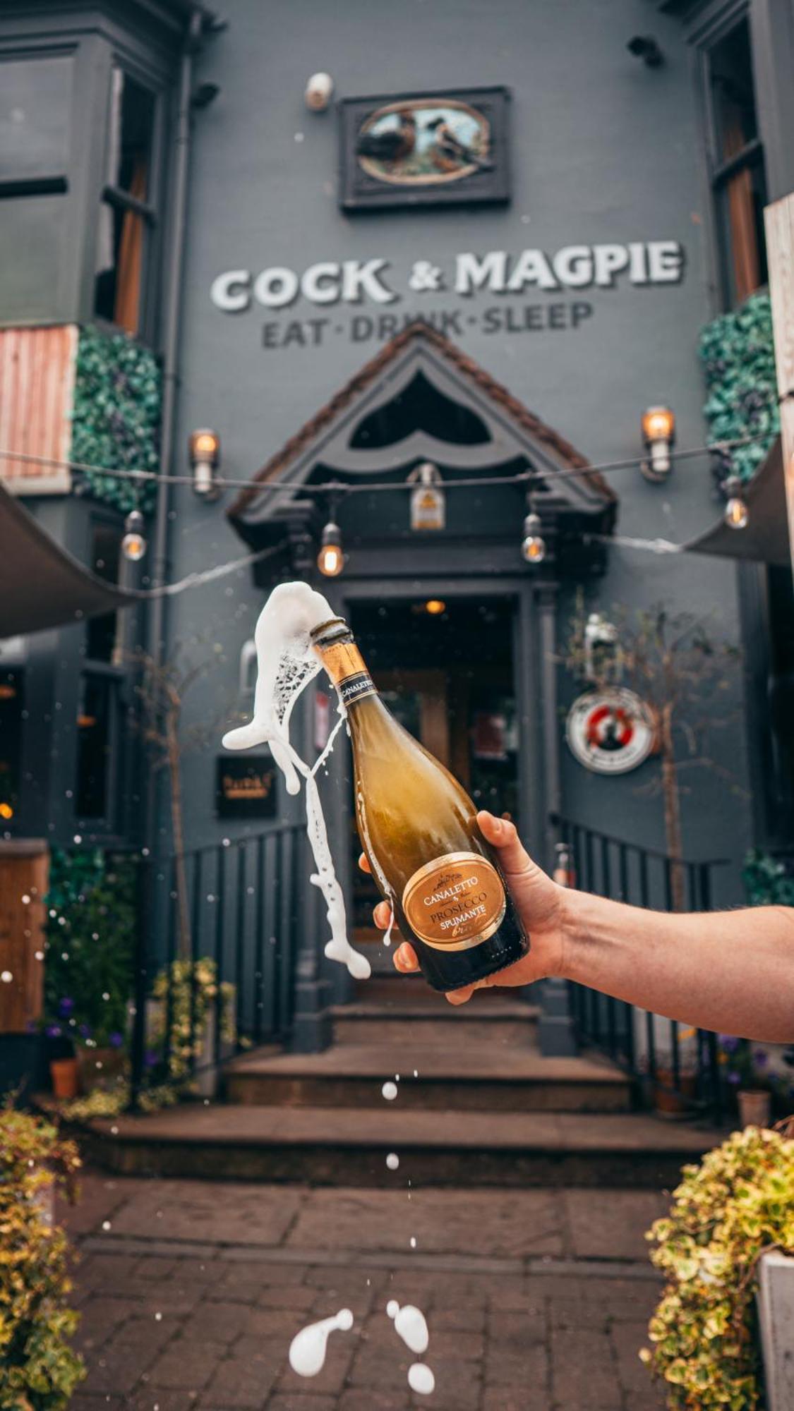ビュードリー The Cock And Magpie Bed & Breakfast エクステリア 写真